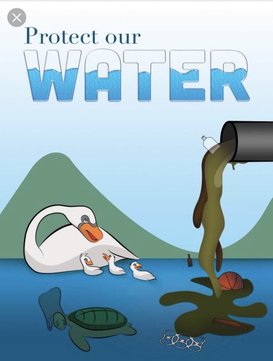 ajgemondo's tweet photo. We can all be more cautious when it comes to maintaining a clean water supply. Whether plastic from littering or just household/hygiene chemicals going down your drain daily, toxins like these are polluting our water supply! @wvuLibraries #wvulibraries https://t.co/hq8SdsLkBA