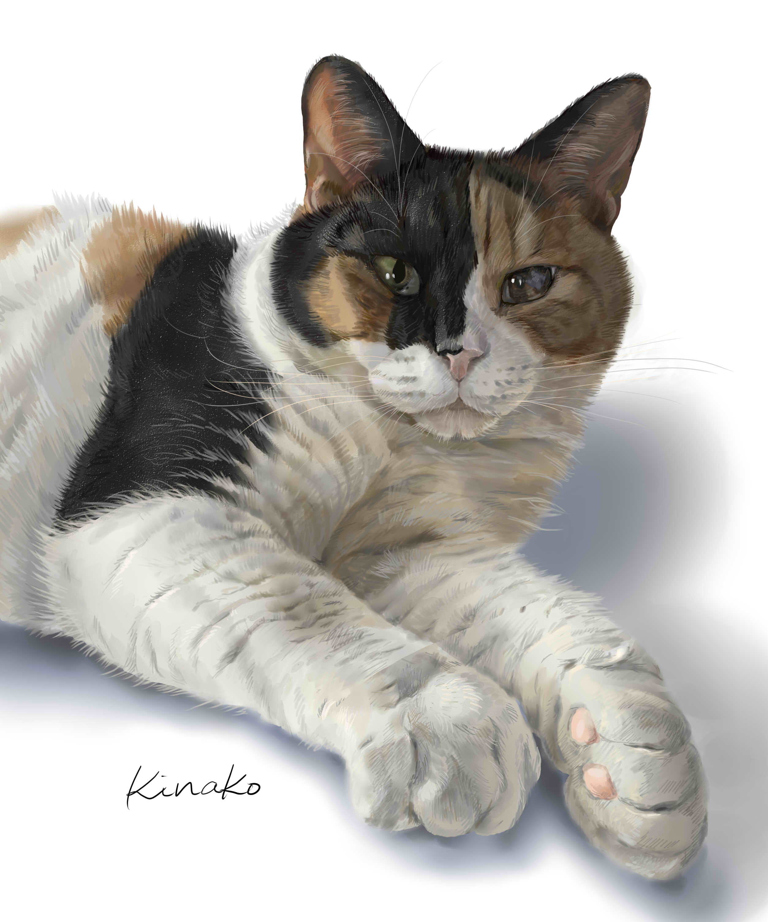 きなこ 猫の絵を描いています Al Twitter みけ 完成しました 手前に伸びた たくましいお手手を強調してみました ムチムチの5キロ越え すごい甘えん坊の抱っこ大好きの 重い かわいい子です 猫絵 Cat Drawing 猫イラスト 猫画 T Co