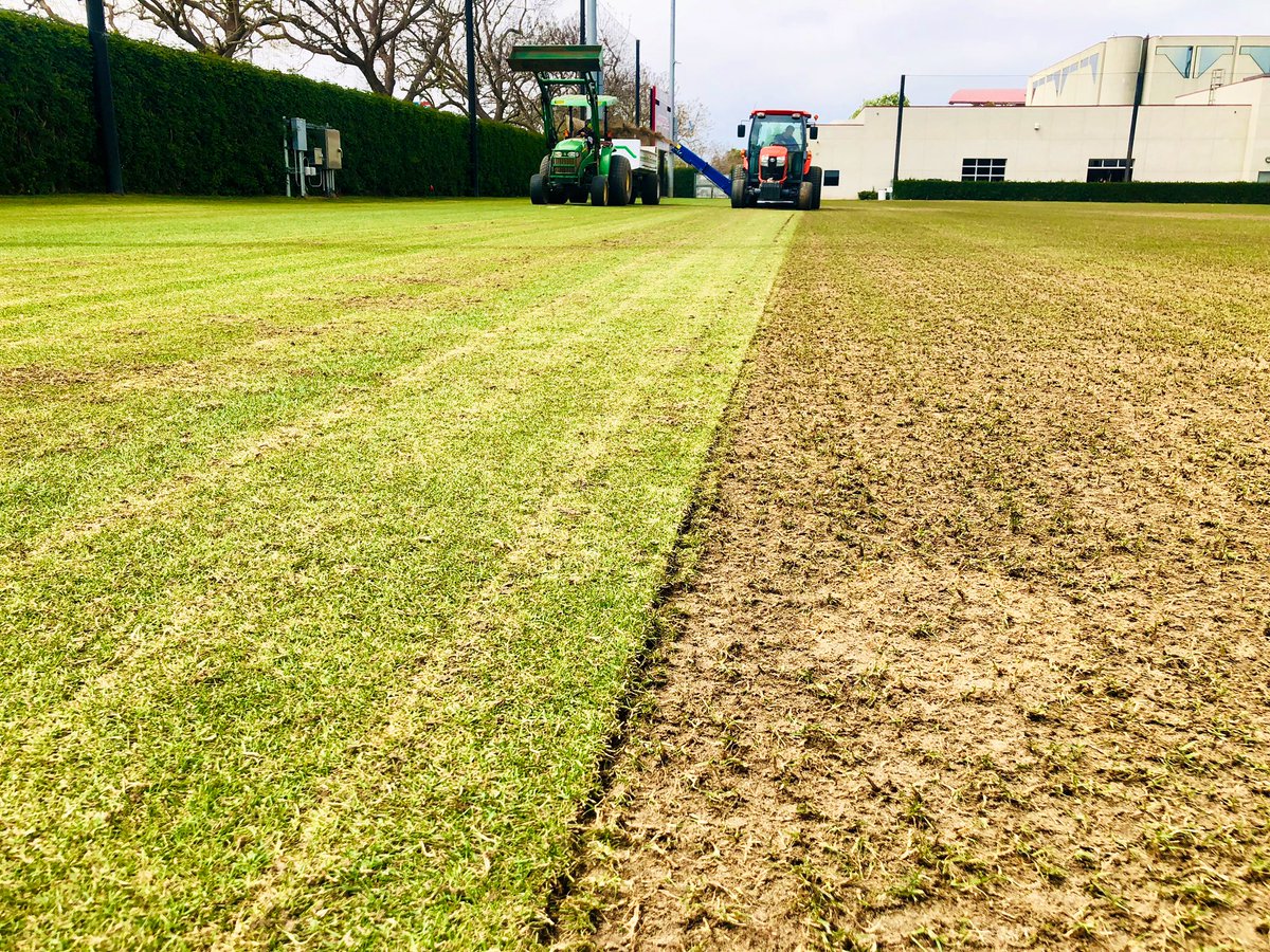 JeradRMinnick's tweet image. #OrganicCleanout from a fantastic field in preparation for #bermudagrass sprigging. Beautiful work by @ZDodie @AndyKeeler2 &amp;amp; the @LoyolaMarymount @lmulions #FieldManagement team w Jock &amp;amp; @STS_USA @GrassRevolution #AlwaysImproving #GrassCanTakeMore®️