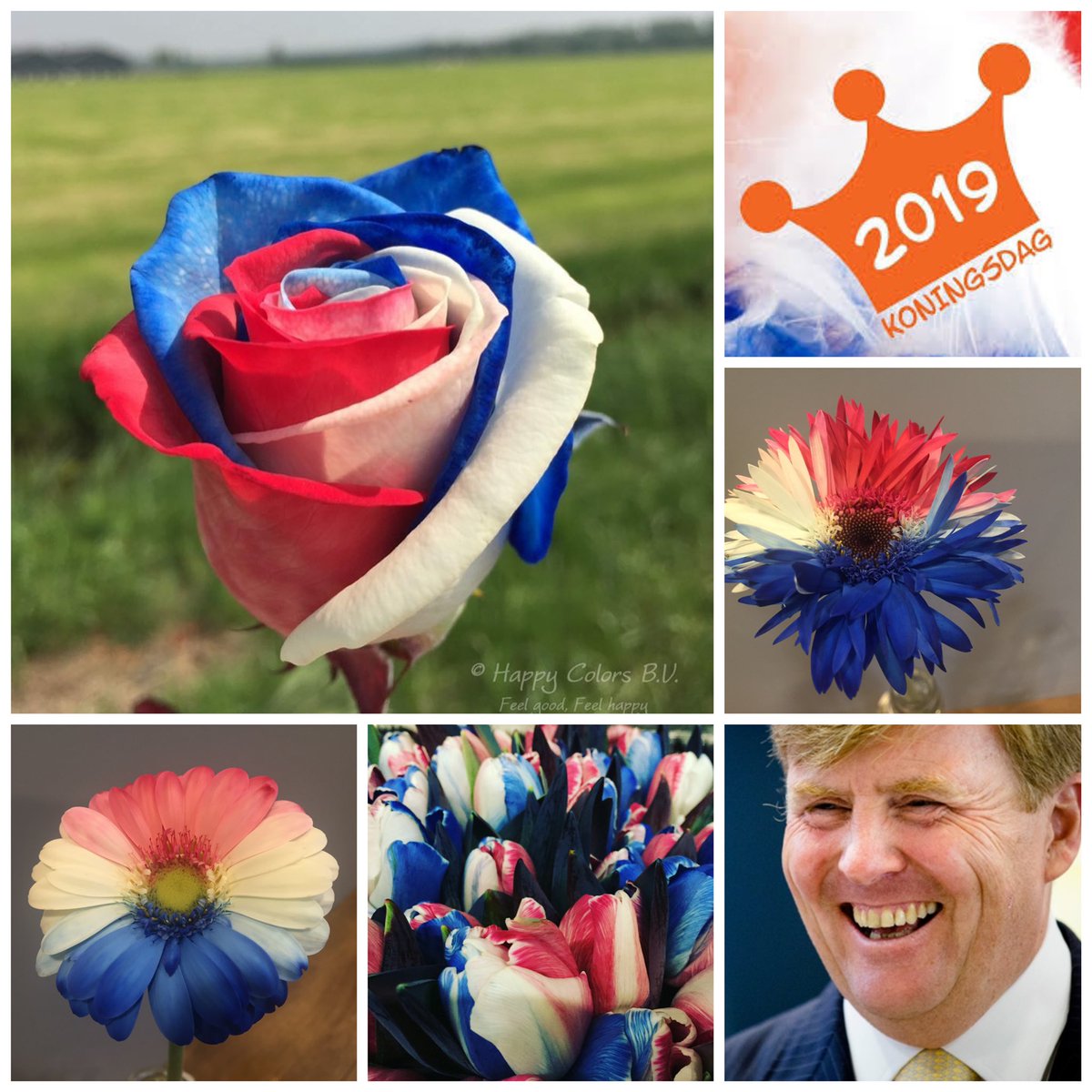 Koningsdag vier je met bloemen! #KingsDay #roodwitblauwikhouvanjou