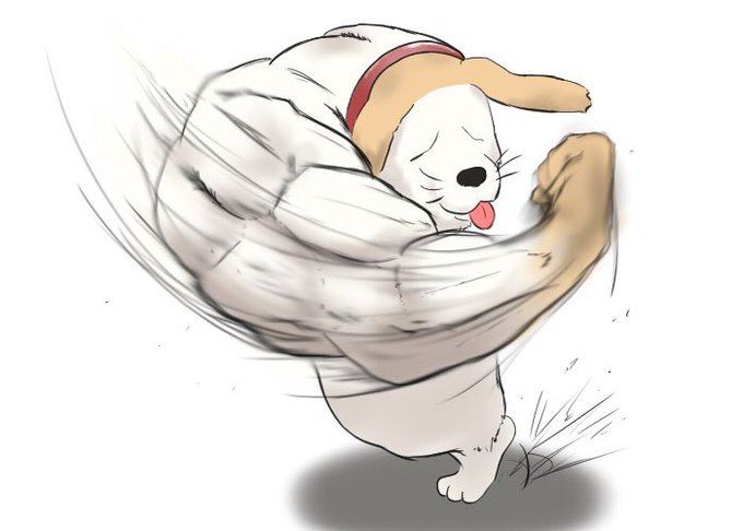 「柴犬 立つ」のTwitter画像/イラスト(古い順)