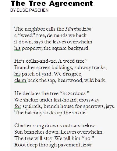 #EarthDay RT @ArlTreeAction: A lovely poem for #EarthDay  by @ElisePaschen via @PoetryFound.  #ArlingtonVA #MoreTreesPlease