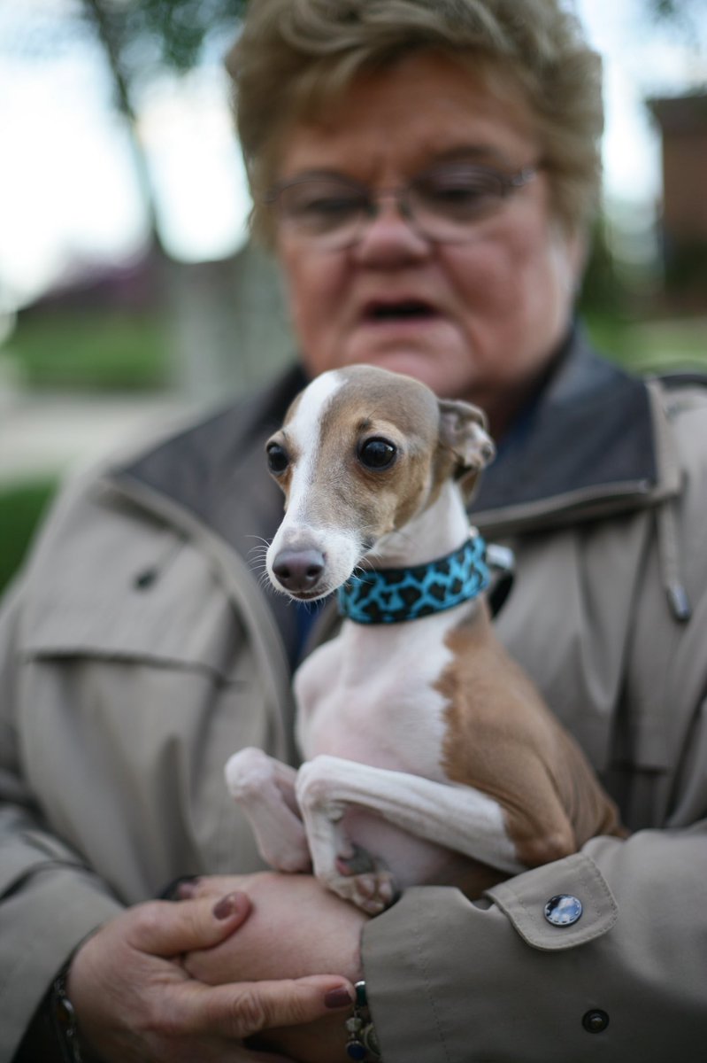 Thank you to Mountaineer Therapy Dogs for bringing your PAWESOME dogs to AB! 🥰⚔️🐶 

...13/10, would pet again!