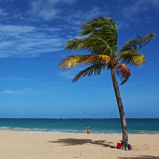 Image result for Sites Review In Brief - The News And Times - By Michael Novakhov