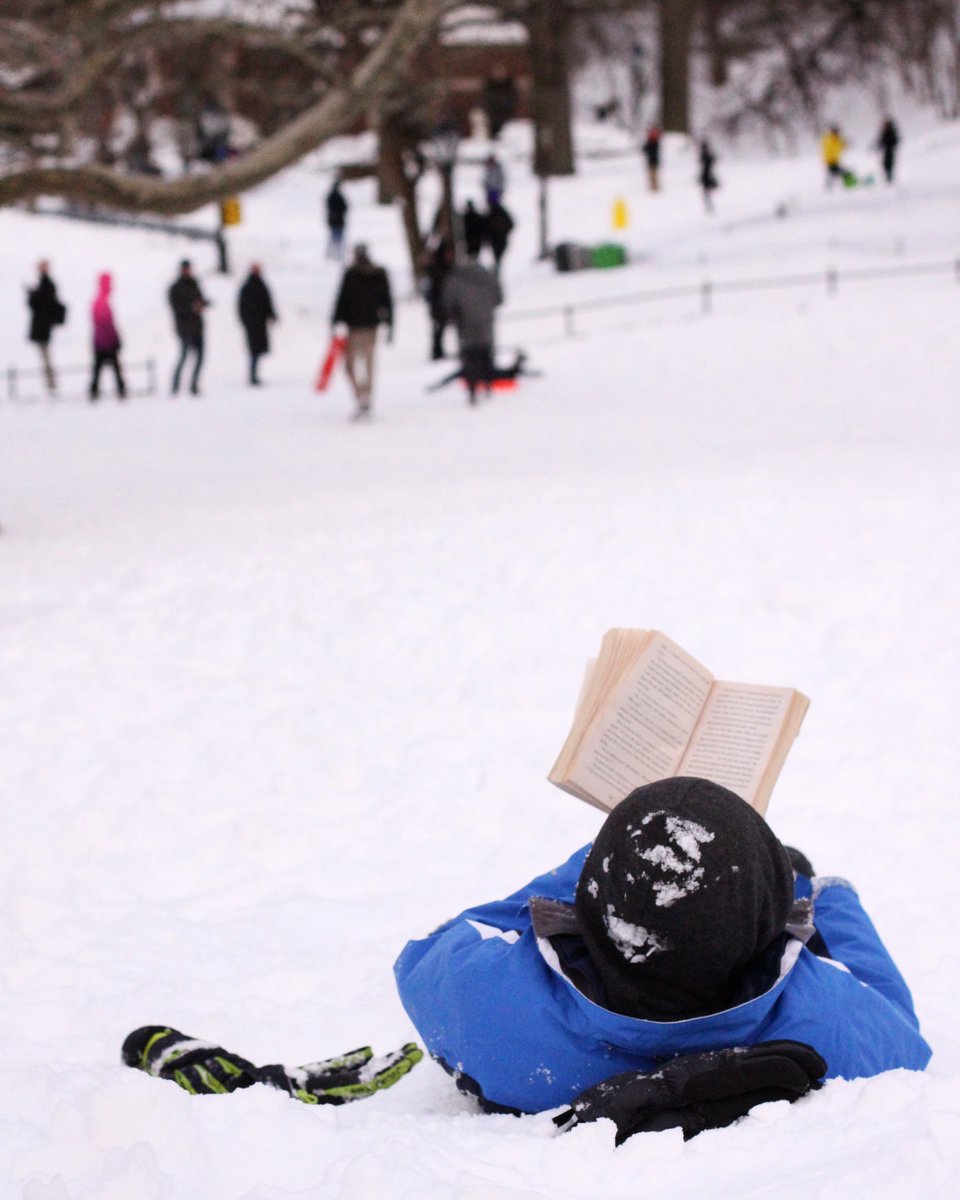 AshleySandberg's tweet image. Today, #WorldBookDay, I throw it back to THIS fantastic small human who just could. not. put. it. down. #ReadStuff #WriteStuff Check this awesome list from @nypl and @Refugees now! tinyurl.com/yxhmyfm4 📚🌎❤️