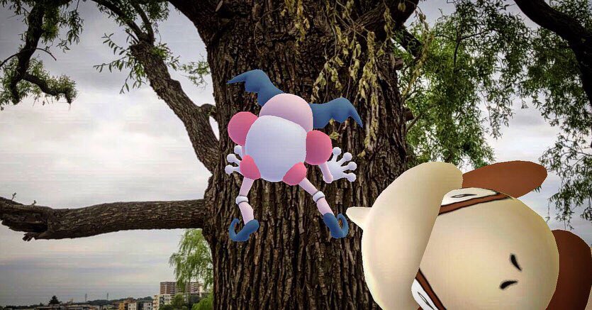 コノハナ Twitter Search