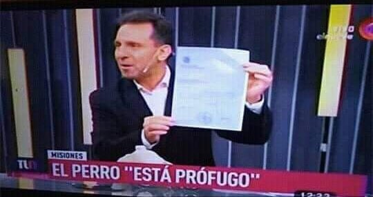 1995iho's tweet photo. ¿somos el mejor país del mundo? somos el mejor país del mundo https://t.co/R9bJfJpuYk