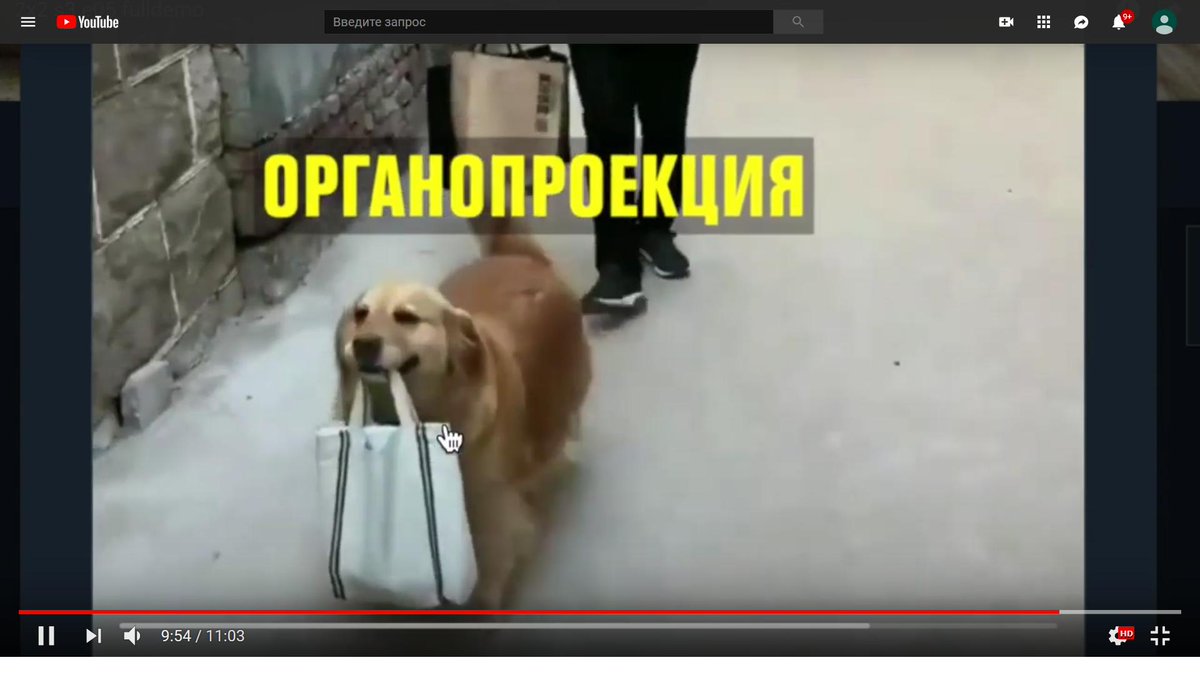 ЛЕНИНСИЗО (@eguy666) on Twitter photo 