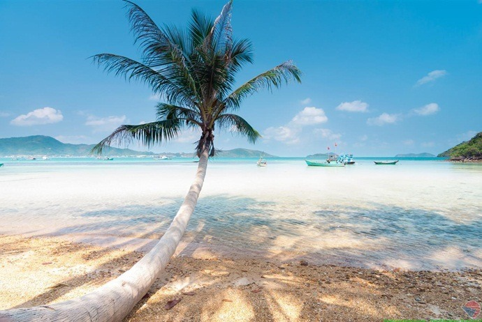 SplendorVietnam's tweet photo. Let's go to #Bai_Sao_Beach in #Phu_Quoc_Island to enjoy white smooth sand, calm waves, and turquoise clear water. And sometimes, you will have a chance to watch rolling waves that leap over each other, then rush out to the sea and mix with the sea water. https://t.co/cGz9m3JgQo