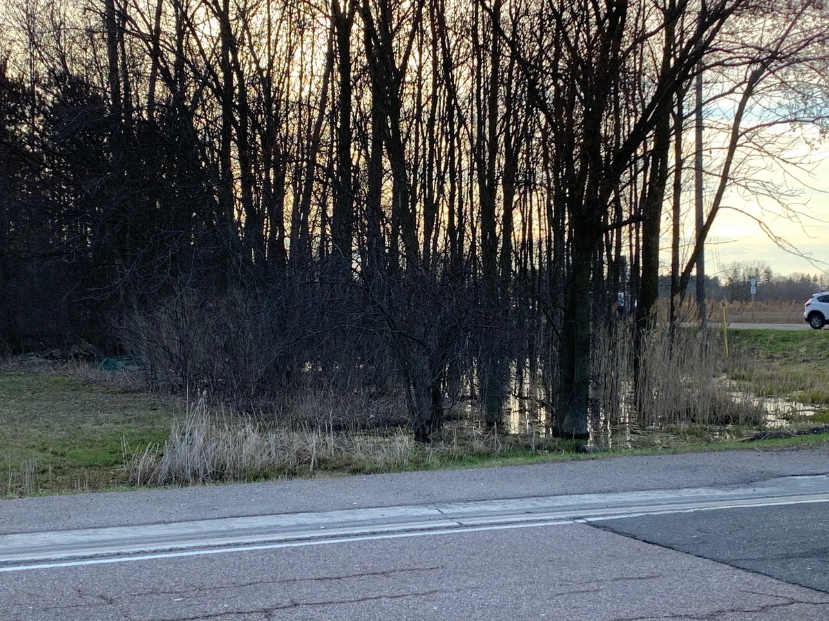 Saw this #perfection while driving from getting a booster juice back to my moms house. 

#woodhydration 
#dontdraintheswamp