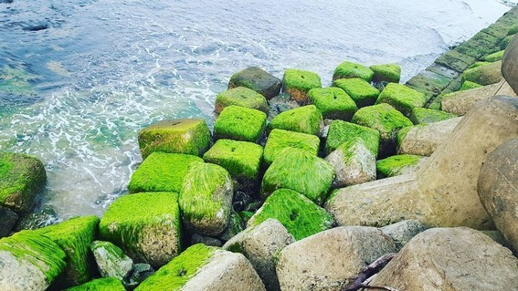 SplendorVietnam's tweet photo. Explore the unique features of Hai Duong Beach, with the three-sided star concrete blocks, magnificent white sand, and the spectacular moss covered rocks.
#HaiDuongBeach #Hue #Vietnam https://t.co/GO3DFwQf0w