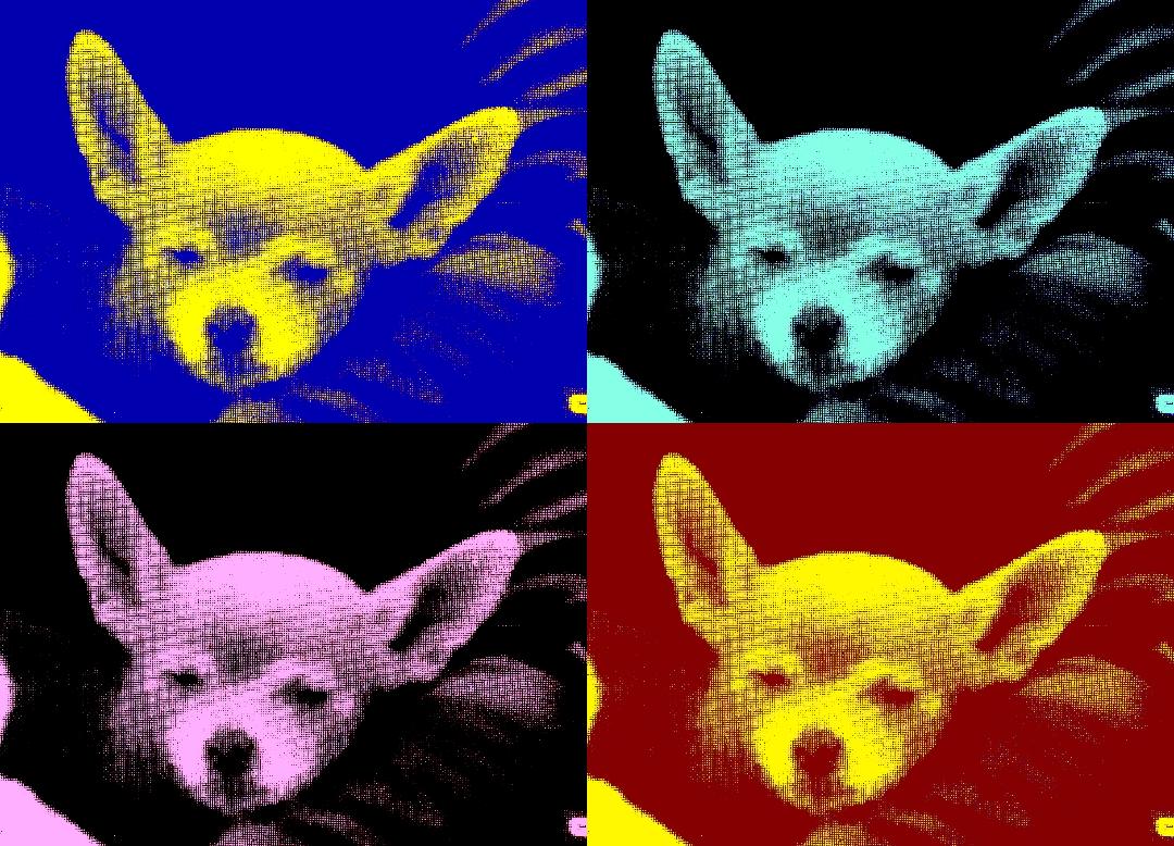 DrakeOhMalfoy's tweet photo. Jimmy Dore Live 🔥🔥🔥🔥 @jimmy_dore @miserablelib #brownie #browniedoggoshow https://t.co/gCmAlmGqT7
