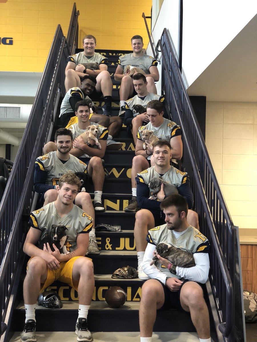 MarianUFootball's tweet photo. Knights and Pits! What a special opportunity to give back to our community and help these cute pups get adopted. #BeAKnight https://t.co/jIR7629Lfh