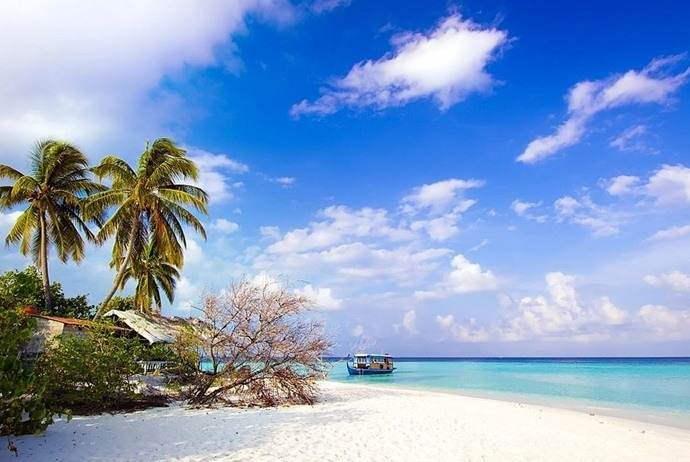 SplendorVietnam's tweet photo. Let's go to #Bai_Sao_Beach in #Phu_Quoc_Island to enjoy white smooth sand, calm waves, and turquoise clear water. And sometimes, you will have a chance to watch rolling waves that leap over each other, then rush out to the sea and mix with the sea water. https://t.co/cGz9m3JgQo