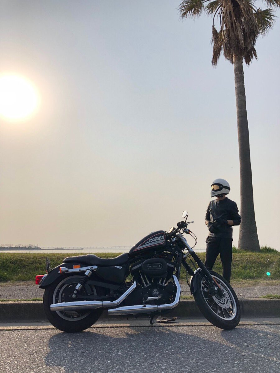 SHINC_'s tweet photo. 🆕hot🔥
#HarleyDavidson #xl883r #sportster https://t.co/X8ULQHiIg0
