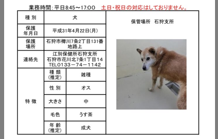 北海道 保健所 里親募集 على تويتر 石狩保健所さん 迷い犬 石狩支所は3わんずが迷子保護されています 柴犬さんはなんと石狩イオン店内で保護されています 2枚目の子は樽川 白ワンはホーマック花川店で保護されています 拡散希望 北海道 保健所 迷い犬