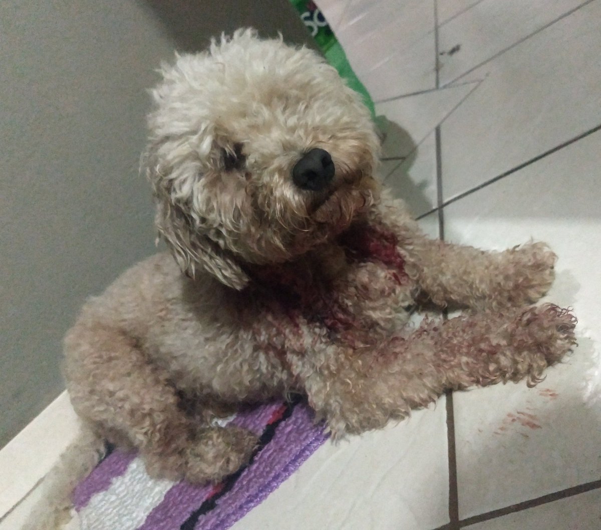 𝗞𝗲𝘁𝗵⁷ 🪭 VAI VER O BTS tweet media