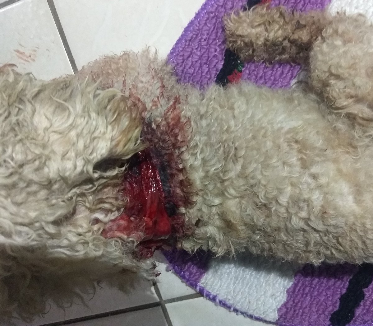 𝗞𝗲𝘁𝗵⁷ 🪭 VAI VER O BTS tweet media