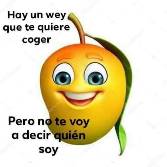 NO C tweet media