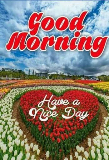 Good morning everyone ...