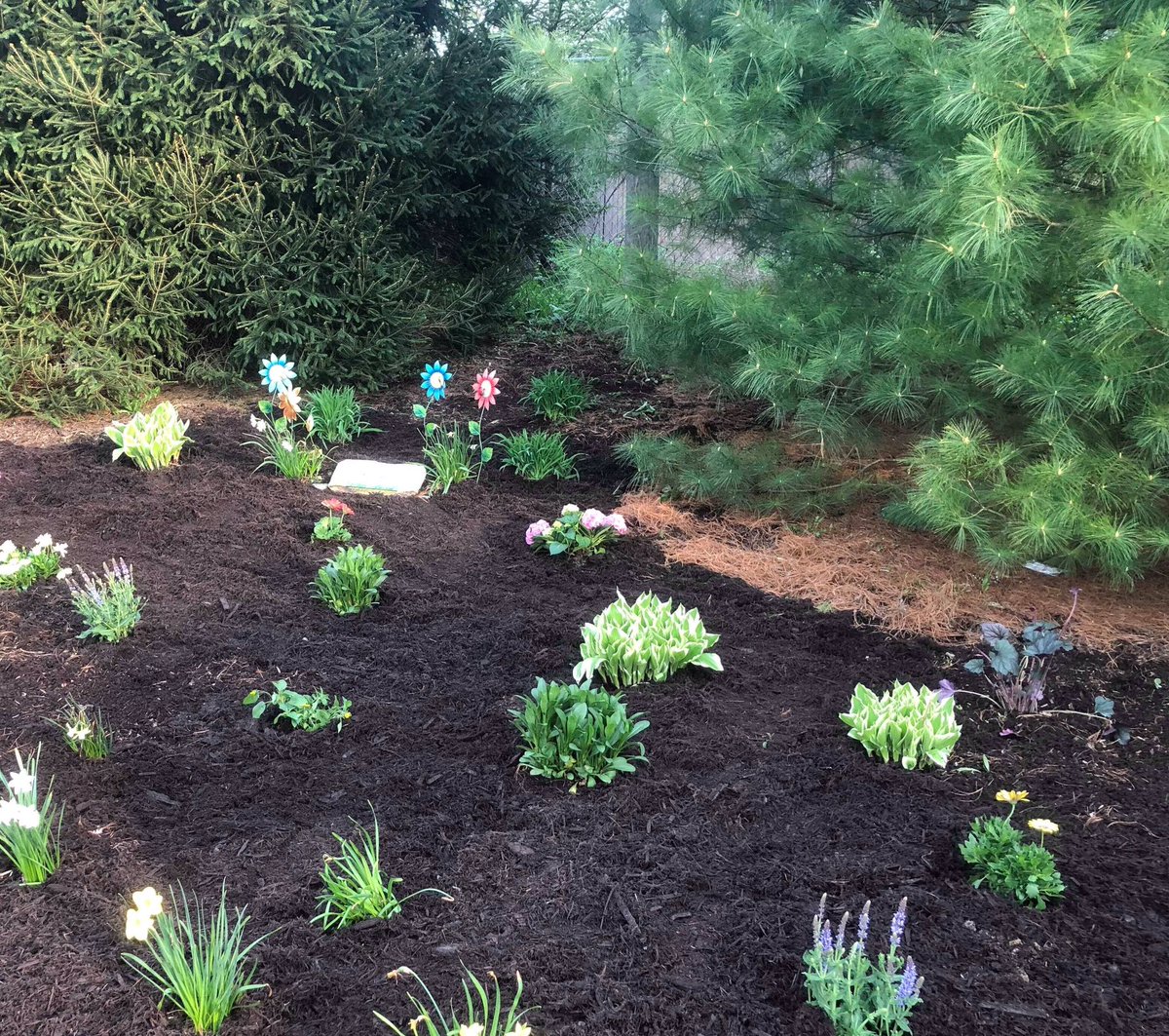 century2007b's tweet photo. Remembering warrior soccer mom, Amie Sinay, mom of 07 Will Sinay.  Our Century Fam plants a flower garden at Century Field in her honor.  We miss the strength and passion she brought to both our Saturday matches and how she lived her life! #warriormom @century2007b  @CenturyV_FC https://t.co/lDRroFLzdi