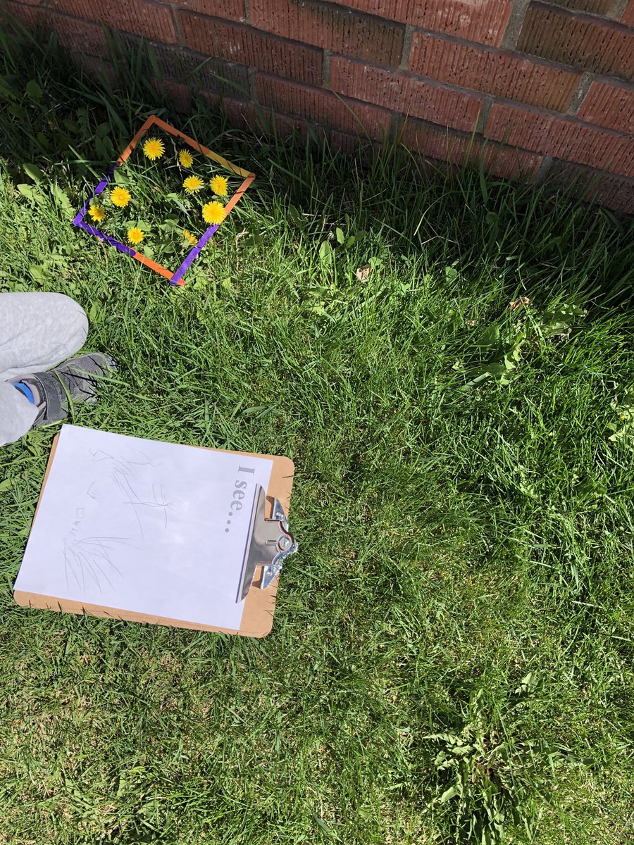 kzelmer's tweet photo. Recording our predictions and what we actually see at our sit spot today #kinderbioblitz #kinderchat #ReggioPLC #reggioyyc #enviroed #yycbe https://t.co/m0VlREssir
