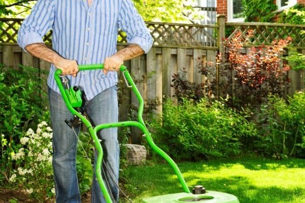 turffox's tweet photo. TIPS FOR GARDENING IN SARASOTA
https://t.co/NcbFmPh5Iv
#gardeningtips #gardening #Sarasota https://t.co/TE1NHsQylt