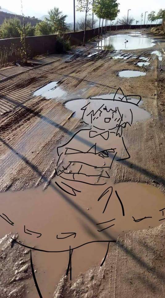 Tuck564744's tweet photo. 蓮子！？ https://t.co/6Ybn1Z8kEA