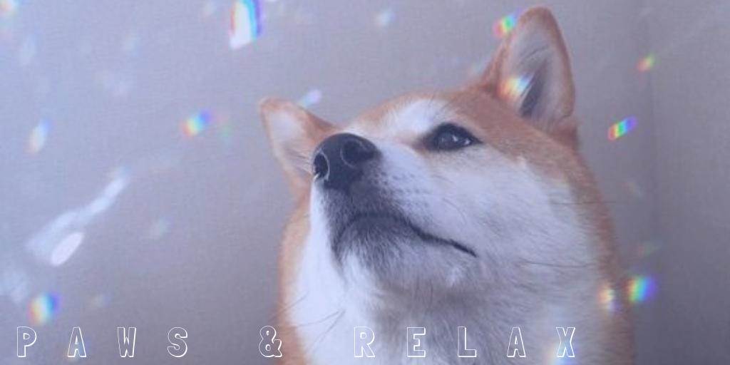 PAWS &amp; RELAX !!!
AP Exams got you stressed? Chill for a spell and come play with some cute puppies while enjoying some refreshing Kim's Tea on Friday (May 3) from 3:30-5:00. Tickets will be sold during lunches next week and at the door!
Hope to see you there!