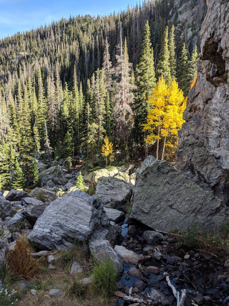 MattyDangerP's tweet photo. @hitRECordJoe Hiking the Rockies this past fall https://t.co/b4oYkJLE4R