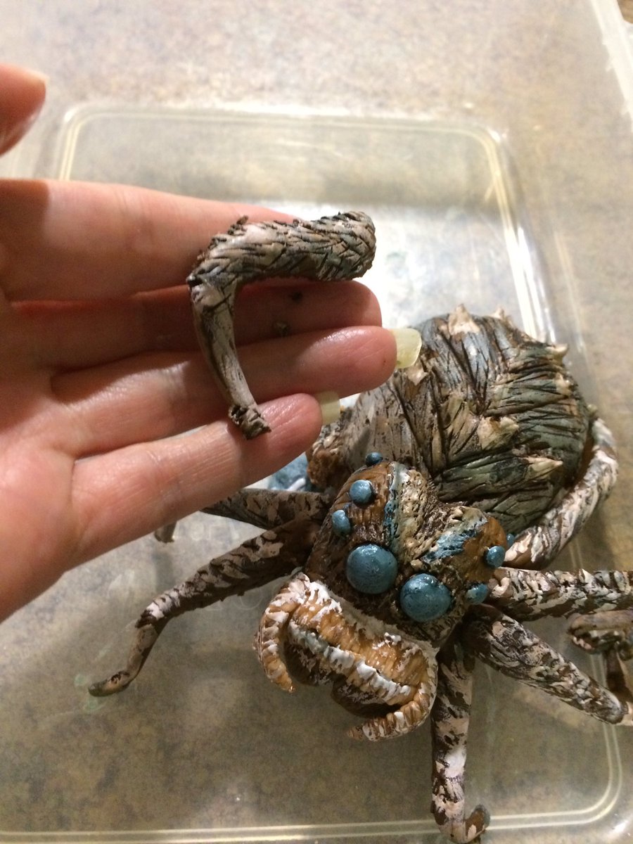 drspidernz's tweet photo. OK, I'm doing it! I'm eating Portia... #LoveSpiders #SpiderCake @Cakes_So_Simple https://t.co/cpBlIdh9nx