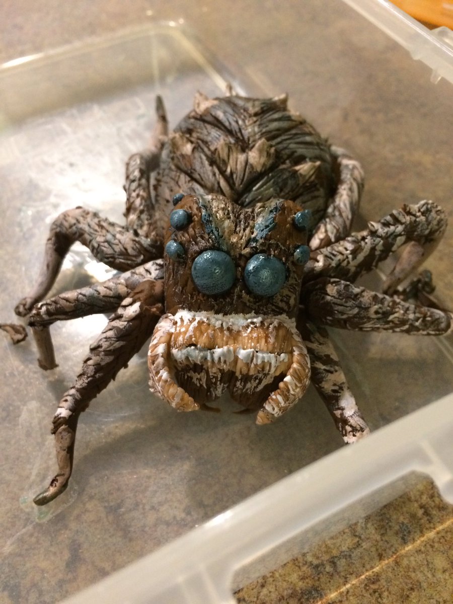 drspidernz's tweet photo. OK, I'm doing it! I'm eating Portia... #LoveSpiders #SpiderCake @Cakes_So_Simple https://t.co/cpBlIdh9nx