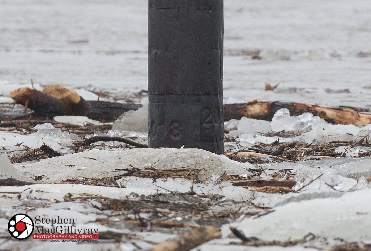 Flood levels in Fredericton today reached 8.33 meters breaking last year's record of 8.31 meters. The high water marker on the green today shows the plate for the 2018 flood level on the left and the plate for the 2008 flood level on the right #nbflood #nbflood2019 #Fredericton