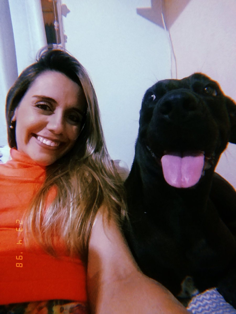 Tataagg's tweet photo. Não tenha um Pitbull eles são muito agressivos como vc pode ver na imagem abaixo , essa monstruosidade 🤦 https://t.co/aTLt11jQ6g