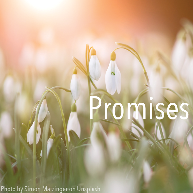 ExploreCC's tweet photo. #promises  Do you make promises without any intention of fulfilling them, or make promises you are unable to follow through on?

Join us as we kick-off our new series, Promises, on April 28th! …and don’t forget to invite a friend! https://t.co/I2DCUittZh