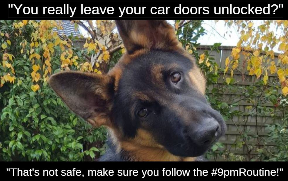 Austin_Police's tweet photo. Friendly reminder to remove valuables from your car, take your keys and ALWAYS lock the doors. Follow the #9pmRoutine to keep your property safe!

#AustinPD #SaferTogether https://t.co/LqLqHP7hnm