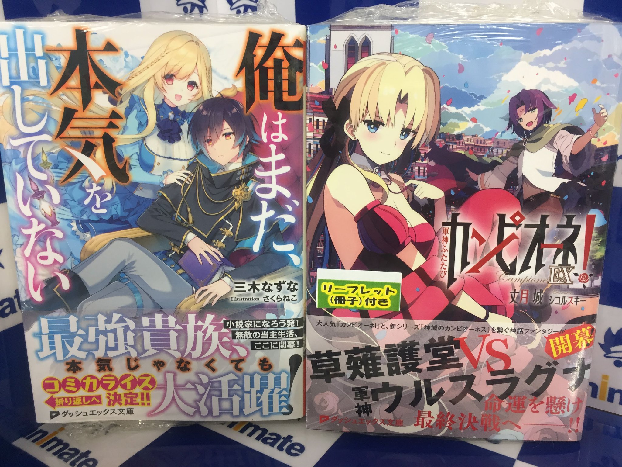 アニメイト甲府 書籍入荷情報 宝島社刊行の小説 転生して田舎でスローライフをおくりたい 村にカグラ土産がやってきた そして カンピオーネex 軍神ふたたび 俺はまだ 本気を出していない などなど ダッシュエックス文庫 の最新刊が本日