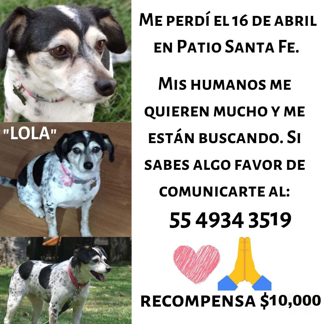 Me ayudan con un RT?