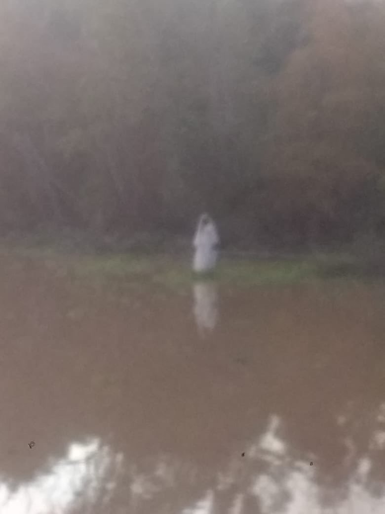 hectorlocutor's tweet photo. Extraña mujer fantasma en medio de una Laguna de Buenos Aires , fotos tomadas x dos celulares distintos  #BebanaLaRompe https://t.co/WfZPvhhP9c