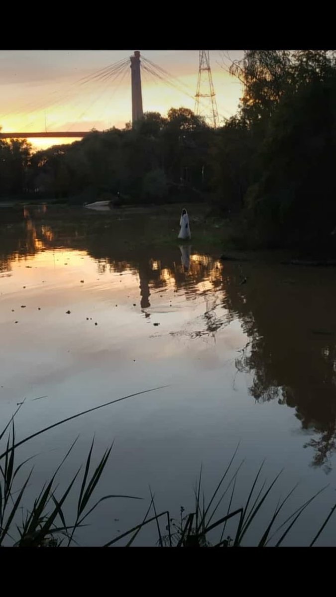 hectorlocutor's tweet photo. Extraña mujer fantasma en medio de una Laguna de Buenos Aires , fotos tomadas x dos celulares distintos  #BebanaLaRompe https://t.co/WfZPvhhP9c