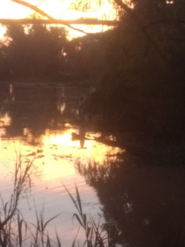 hectorlocutor's tweet photo. Extraña mujer fantasma en medio de una Laguna de Buenos Aires , fotos tomadas x dos celulares distintos  #BebanaLaRompe https://t.co/WfZPvhhP9c