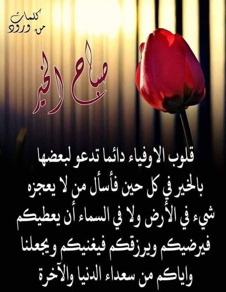 شجون حالمة (@awesom2050) on Twitter photo 