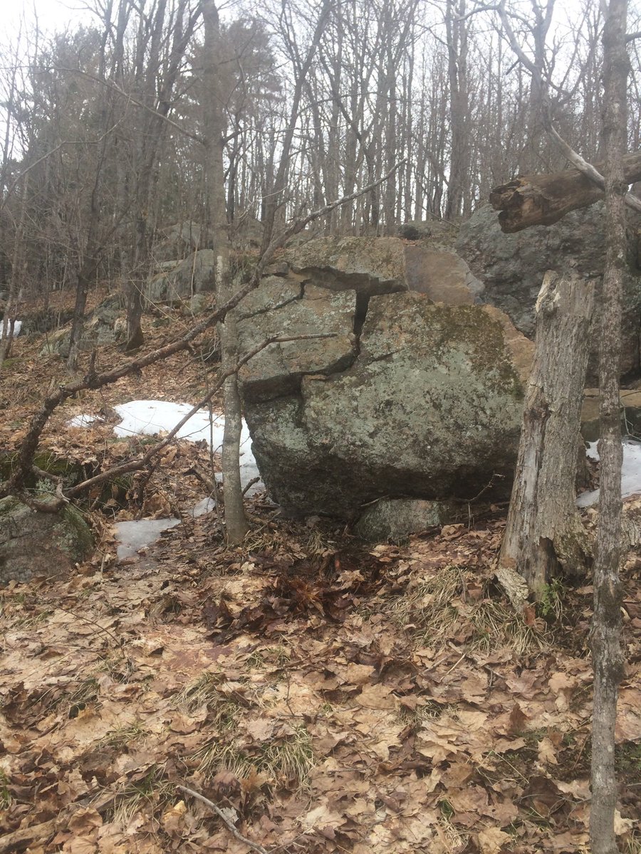 inner_arts's tweet photo. This boulder rolled off a ledge and cracked from hitting this tiny, rooted tree...are you the boulder? The tree? What beautiful lessons are in this for us... https://t.co/8jKOJRexie
