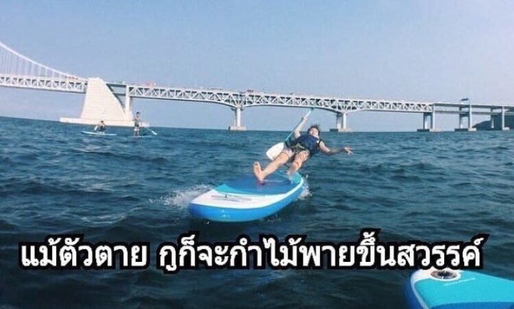 𝐂𝐋𝐎𝐕𝐄𝐑 tweet media