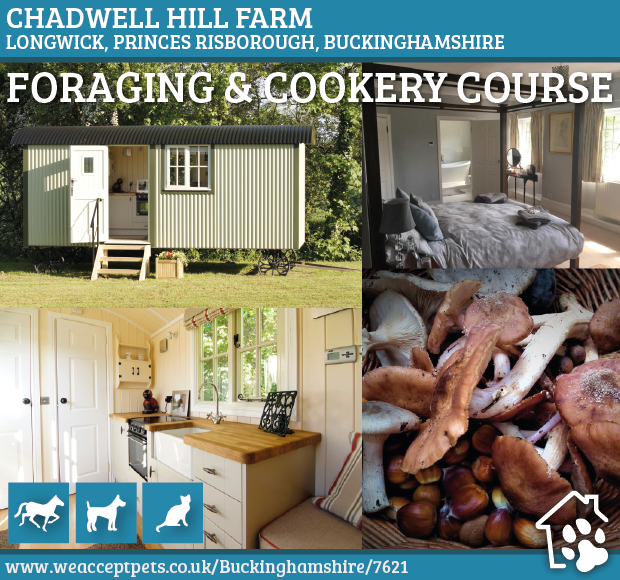 Discover #Chiltern's #AreaofOutstandingNaturalBeauty with your #4leggedfriend during your stay at Chadwell Hill Farm. On Monday 6th May (Bank Holiday), this B&B is hosting a #wildforaging and #cookerycourse.

Accepts 🐶🐱🐴
weacceptpets.co.uk/Buckinghamshir…

#BankHoliday #MayBankHoliday