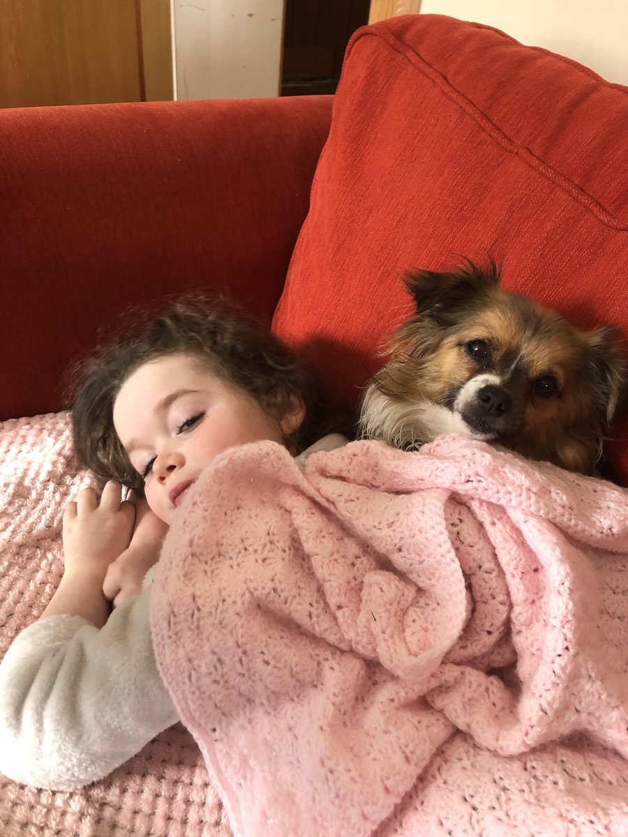 majellamcdonnell tweet media