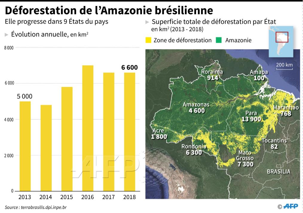 D'après l'ONG Imazon, la déforestation en Amazonie a augmenté de 54% en janvier 2019 - premier mois de présidence de M. Bolsonaro - par rapport à janvier 2018, et l'Etat du Para concentre à lui seul 37% des aires dévastées
#AFP