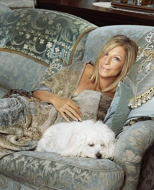 Barbra Streisand celebra avui 46 anys de carrera i 77 d\edat.
Happy birthday! 