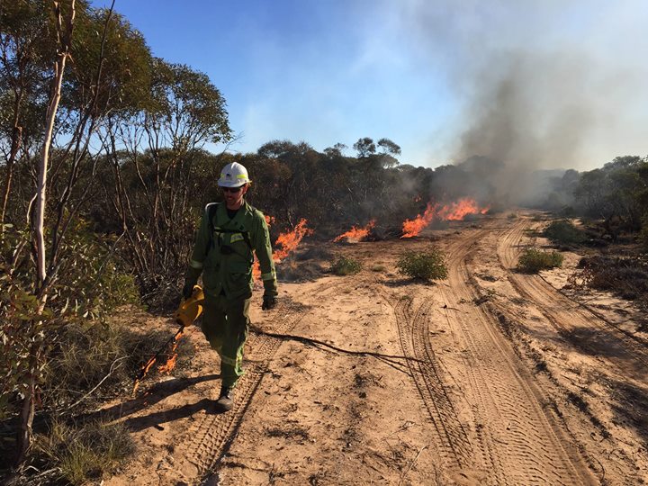 FFMVic's tweet photo. People in #Murrayville #Cowangie #Underbool and surrounding areas may see or smell smoke tomorrow (Thursday 25 April) as our crews undertake #plannedburning in the Big Desert - Northern Boundary, 15 kms southeast of Murrayville. See details at https://t.co/fVfRWYYnYg #FFMVic https://t.co/cXbzmKkTA2