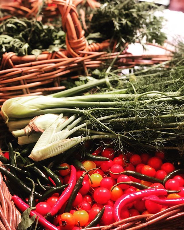 Fresh fresh fresh.... todays delivery before the madness of Anzac celebrations... Fresh food always the focus! 🌶🌶🌶🌶🌶🌶🌶🌶🌶 #organicproduce #localssupportinglocals #southernhighlands #paddocktoplate #sydneypubs #anzacday #paddingtonpubs bit.ly/2Vh5j2V